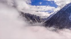 DJI 0317