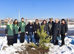 IMG 1519