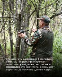 Image 07 08 26 10 54