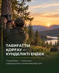 Image 11 09 26 09 36 2